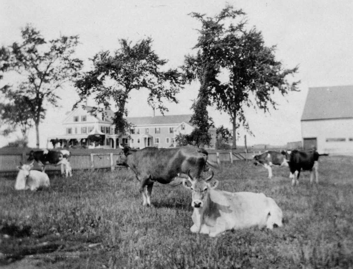 Laudholm Farming Past