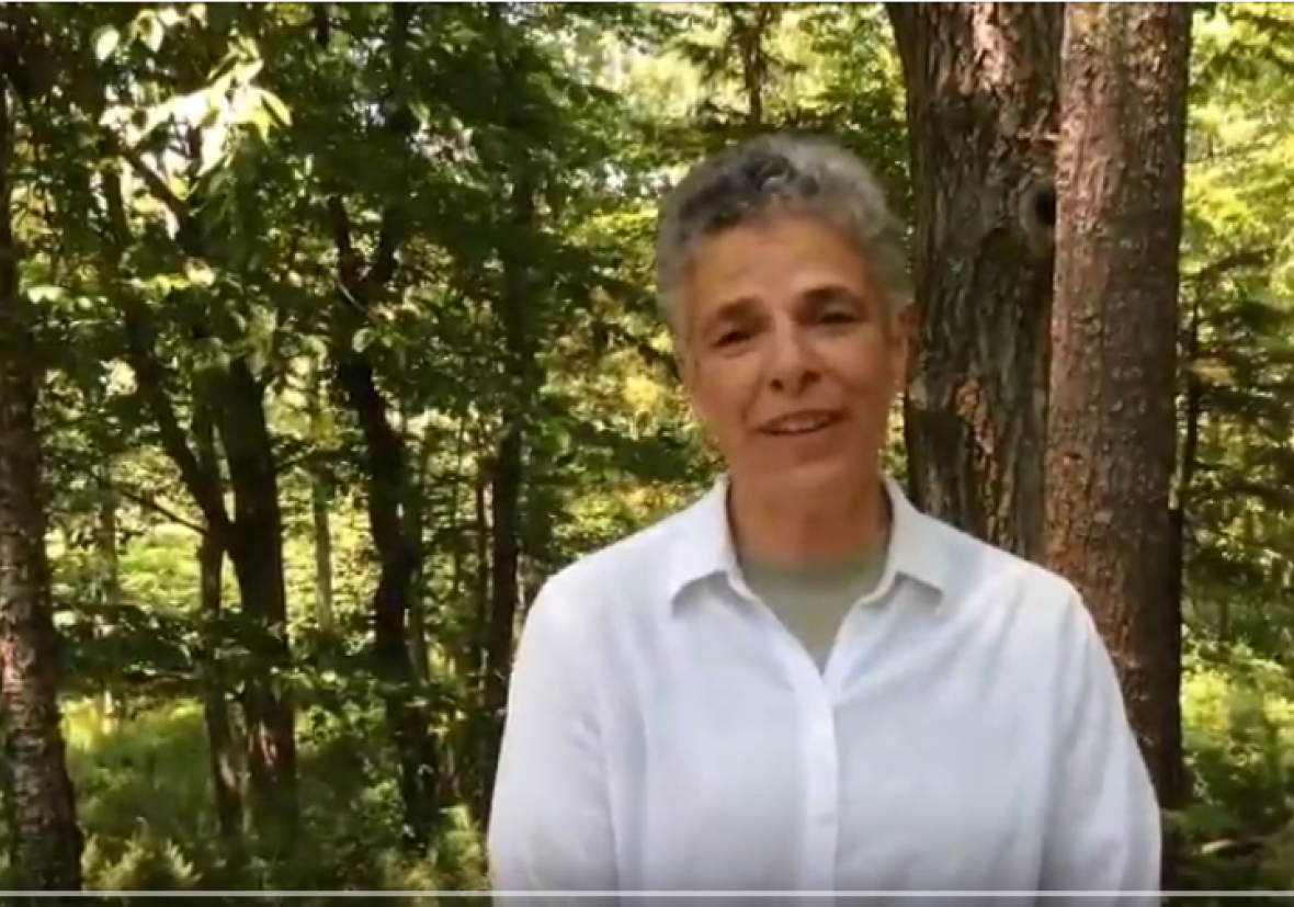 Yankeewoodlot Sue