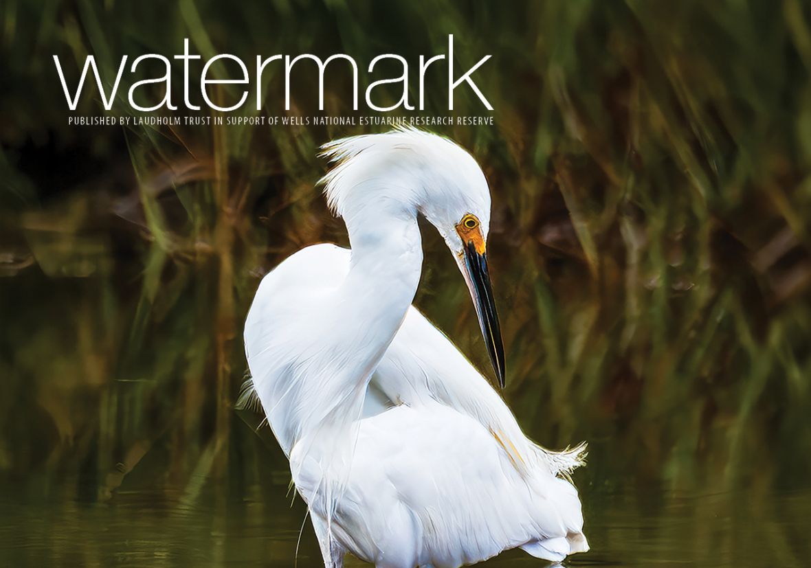Watermark 2026 1 cover