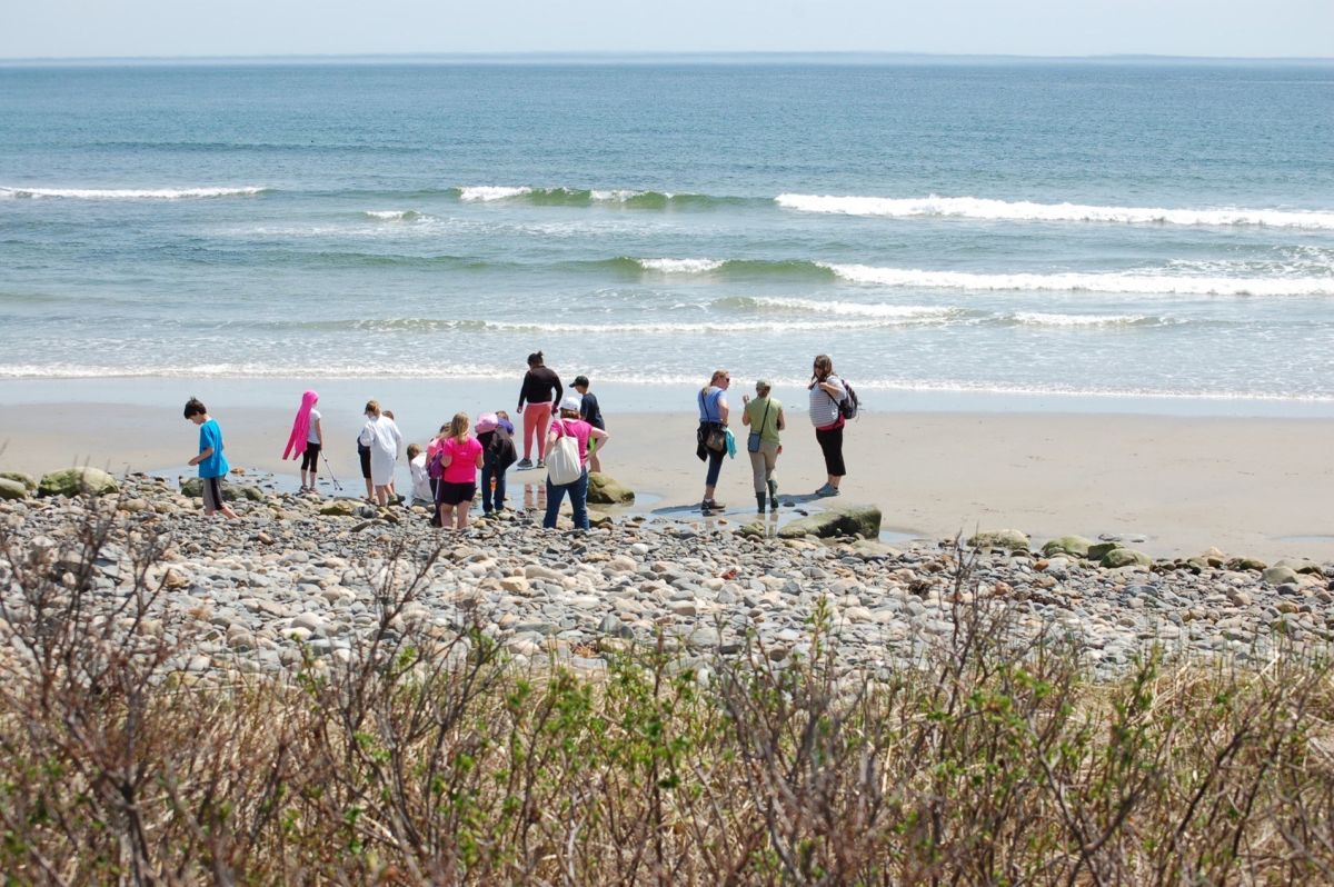 Explore the shore