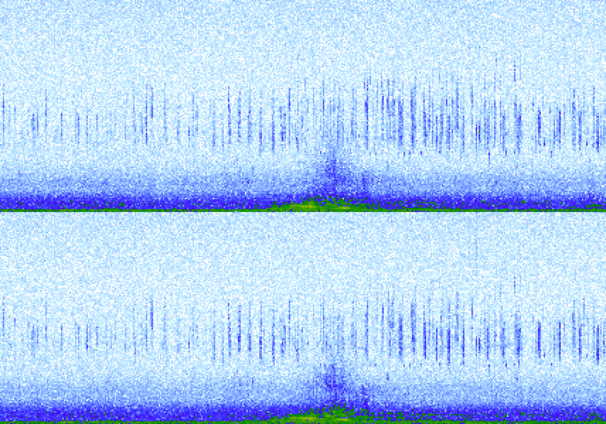 26293 Sonogram
