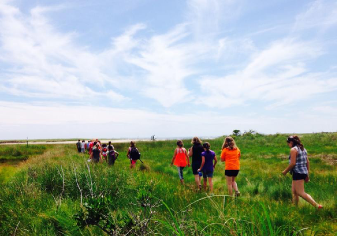 Marsh2
