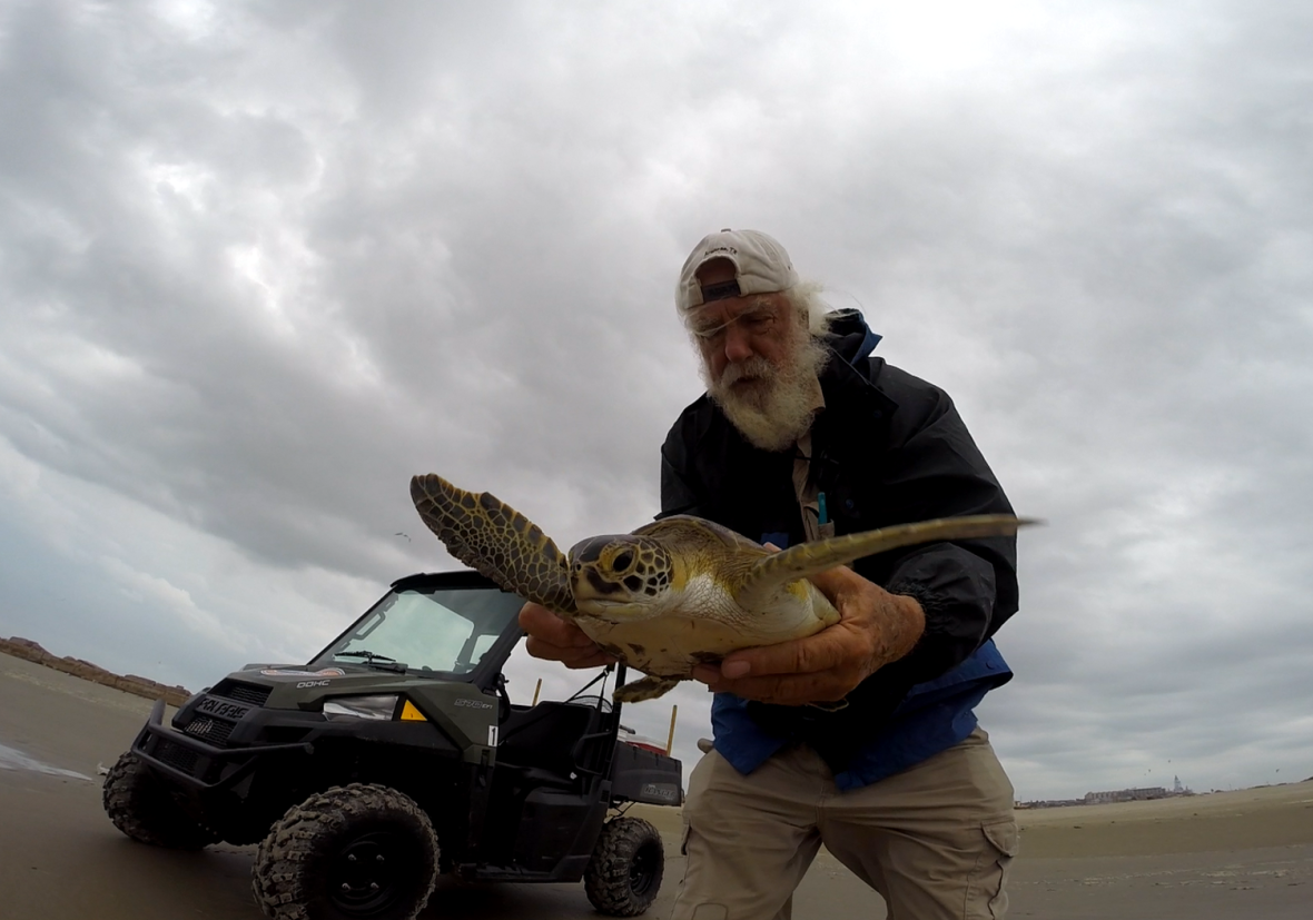 Tony Amos And Turtle